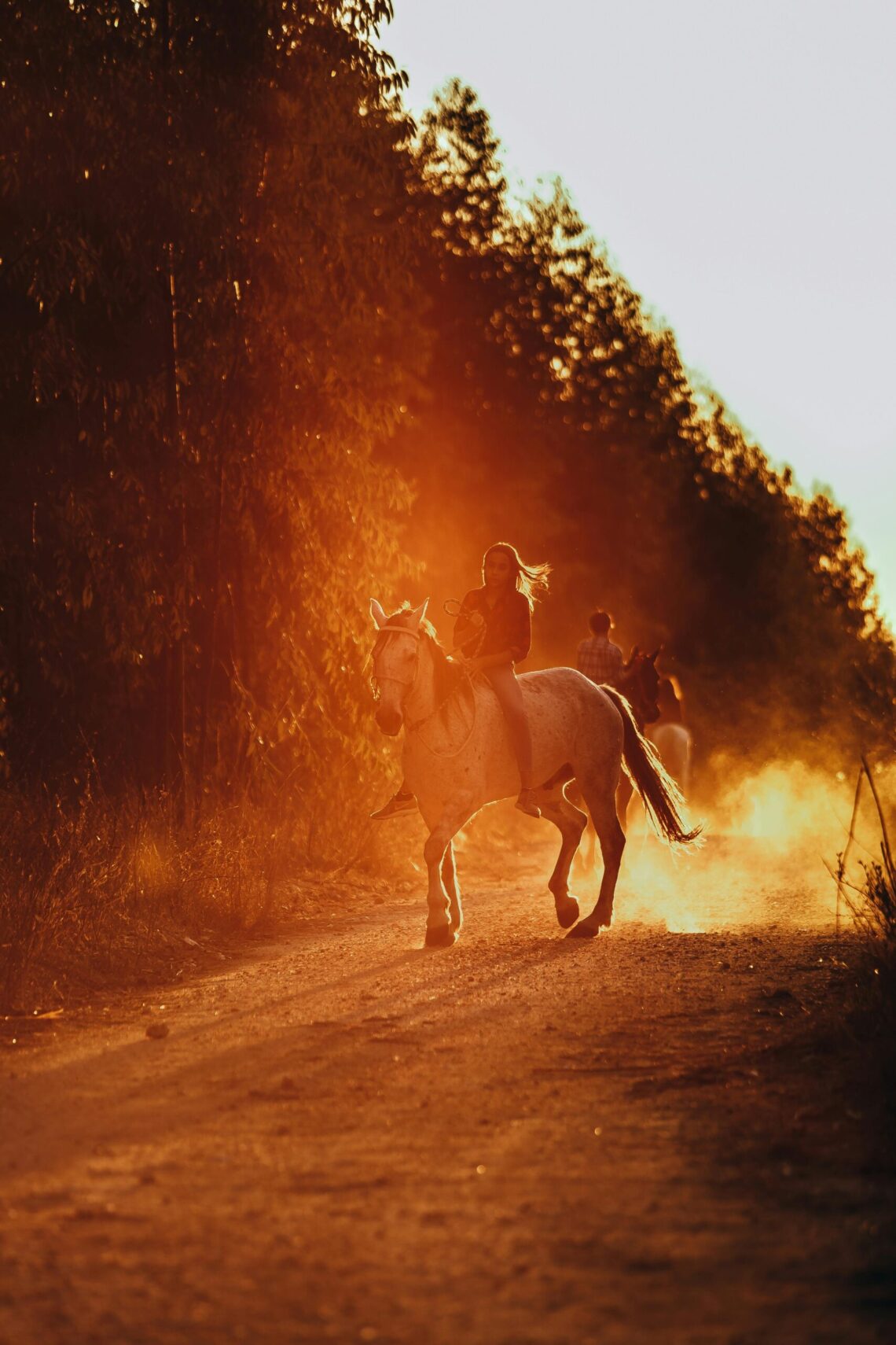 Captivating shot of a woman horseback riding on a dusty trail during sunset, capturing motion and outdoor beauty.